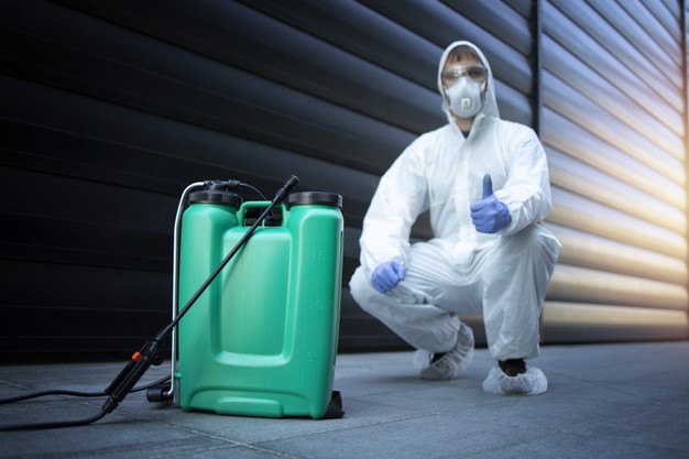 Pest Control Services