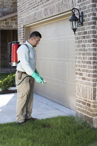 Man doing pest control with blue gloves in homes.