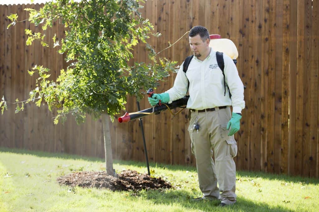 professional pest control frisco tx