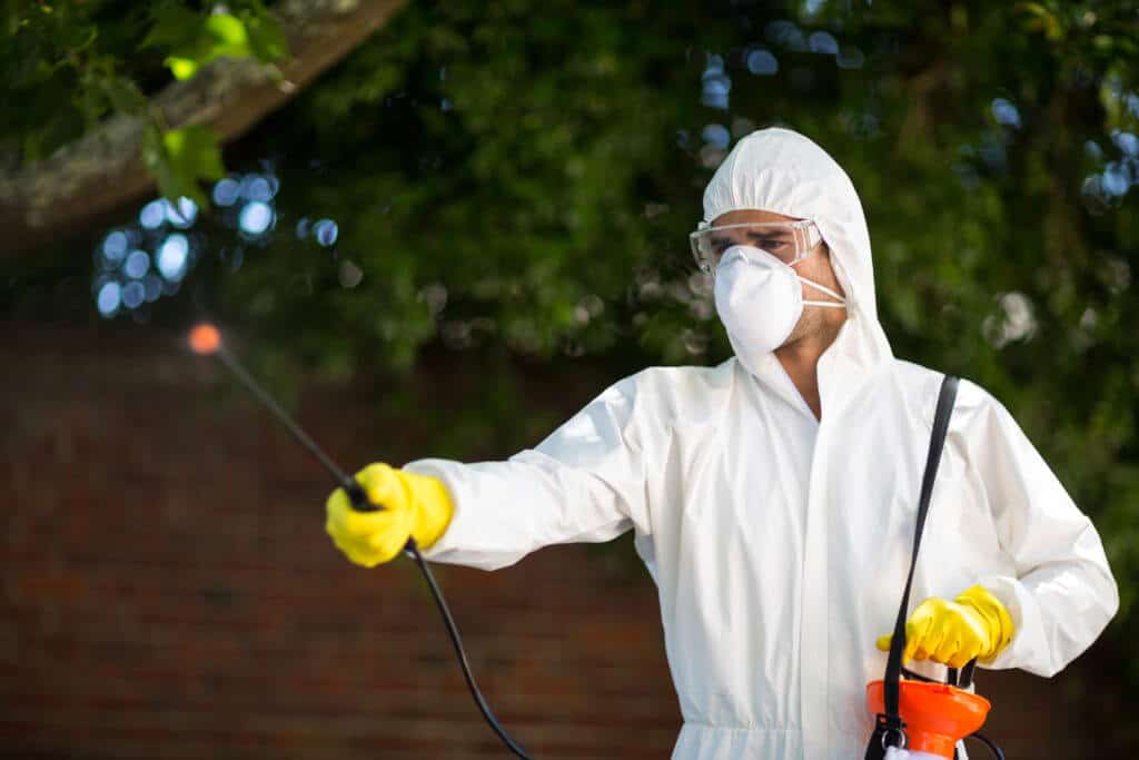 Best Pest Control Plano, TX Safe Pro Pest Control Plano TX Services