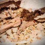Termite Pest Control Frisco TX