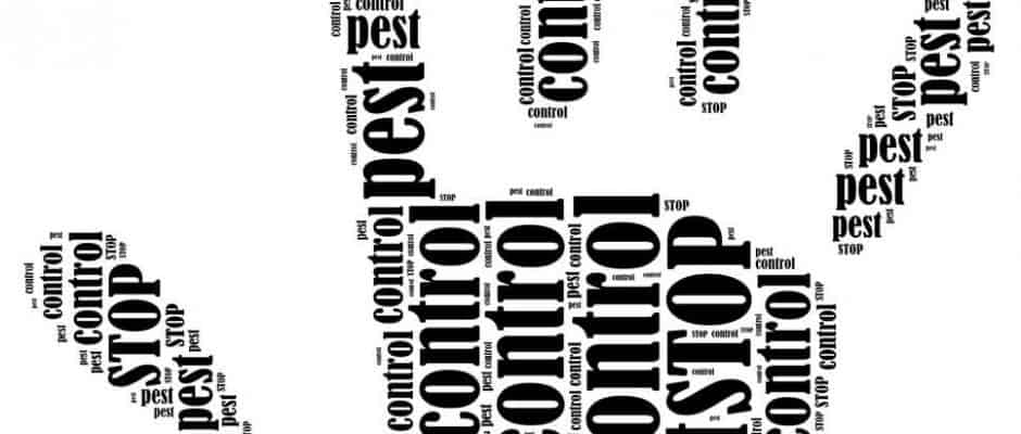Pest Control Frisco TX