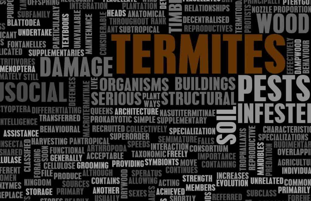 Pest Control In Frisco TX | Termite Control in Frisco TX