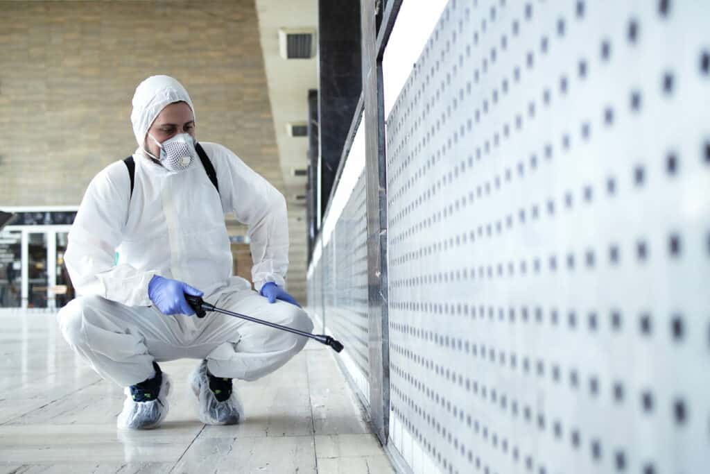 Pest remove service